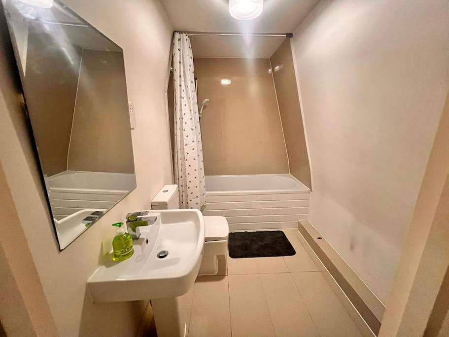 Apartment Studio At Centre With Free Parking Leicester